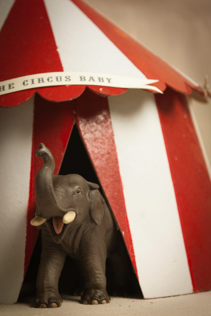 Elefant_Zirkuszelt.png